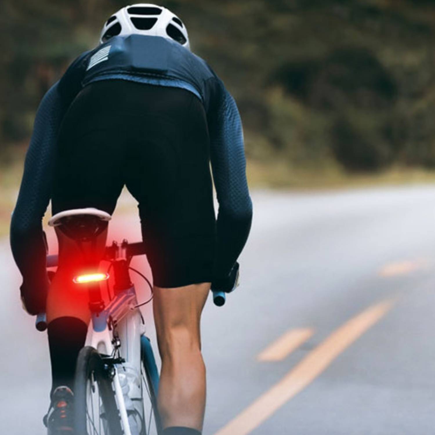 buy led rear bike light
